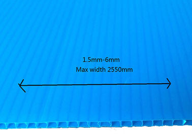 코르프루테 PP 골판지 바닥 보호 플라스틱 청색 2 밀리미터 3 밀리미터